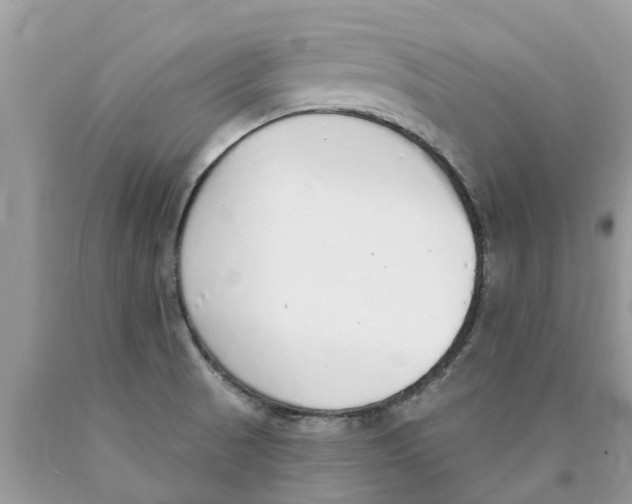 X0000089901521200707262240