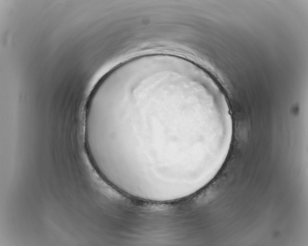 X0000089901522200707262240