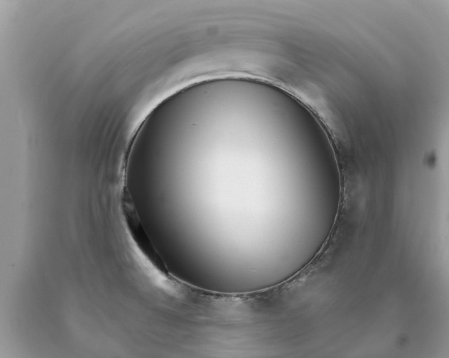 X0000089901524200707262240