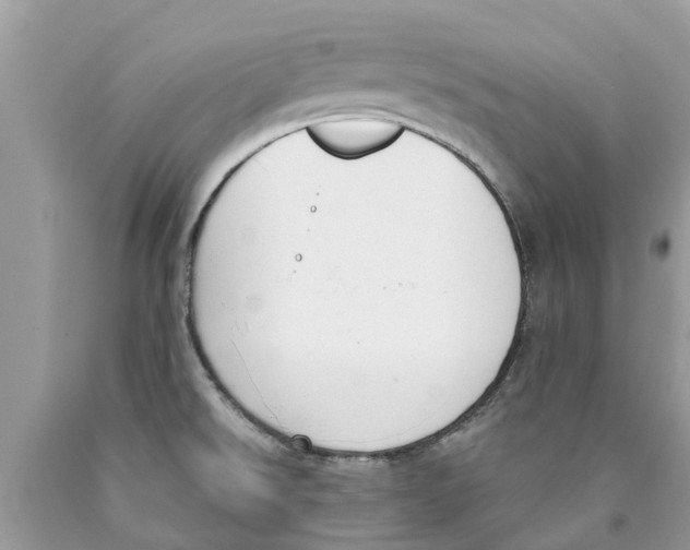 X0000089901526200707262240