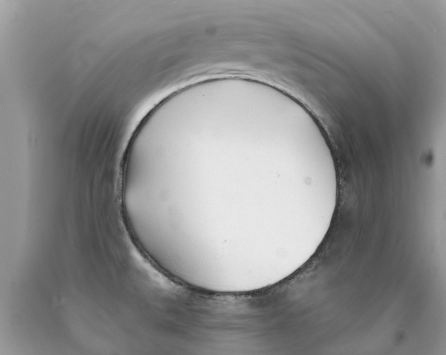 X0000089901527200707262240