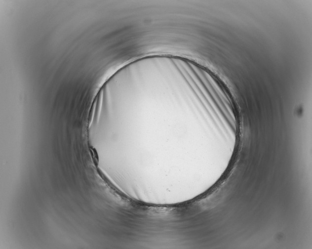 X0000089901529200707262240