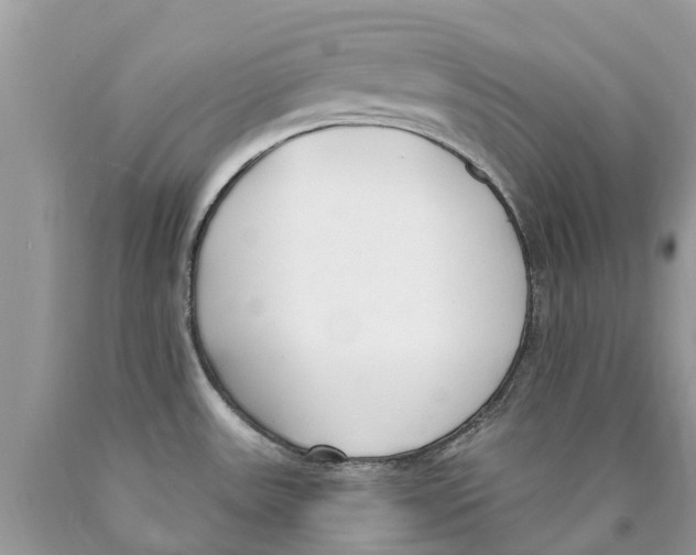 X0000089901531200707262240