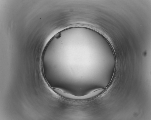 X0000089901533200707262240