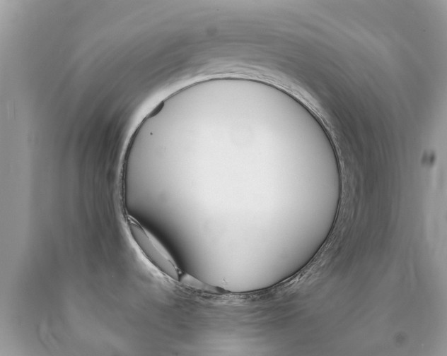 X0000089901536200707262240