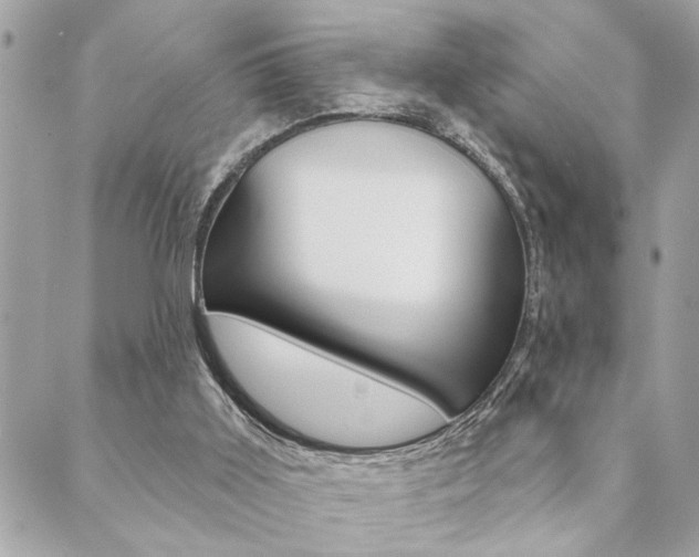 X0000089910011200706290741