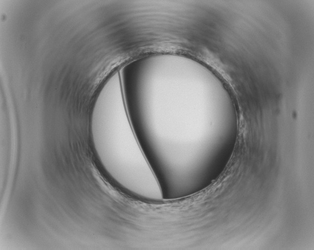 X0000089910013200706290741