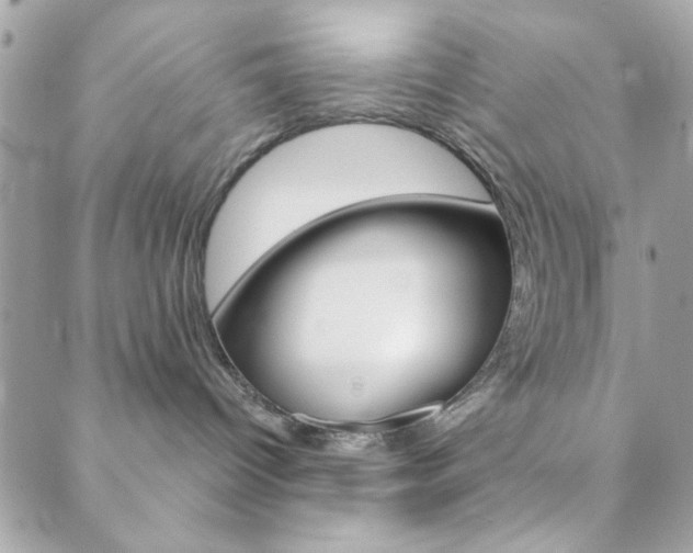 X0000089910096200706290740