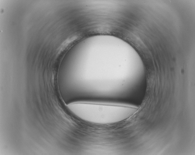 X0000089910120200706290739