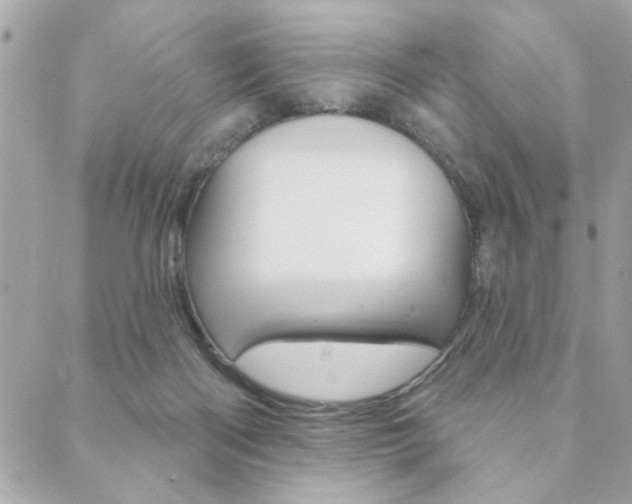 X0000089910122200706290739