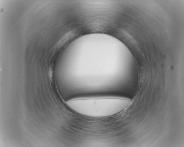 X0000089910124200706290739