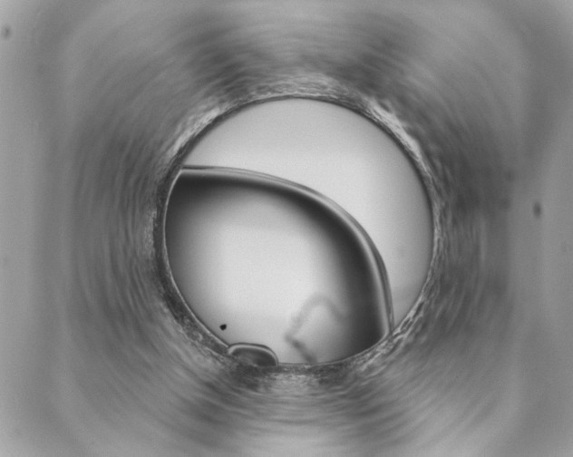 X0000089910154200706290738