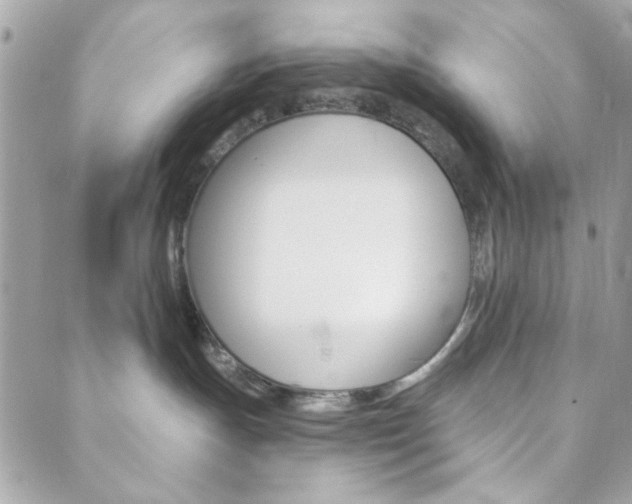 X0000089910191200706290738