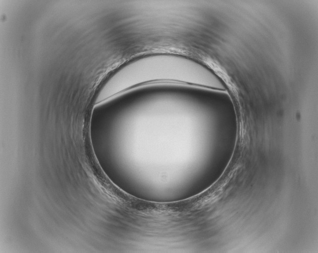 X0000089910201200706290738