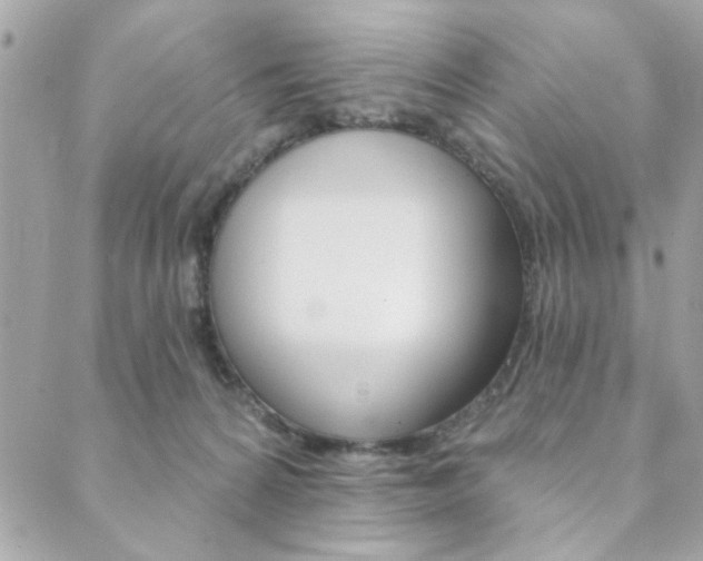 X0000089910224200706290737