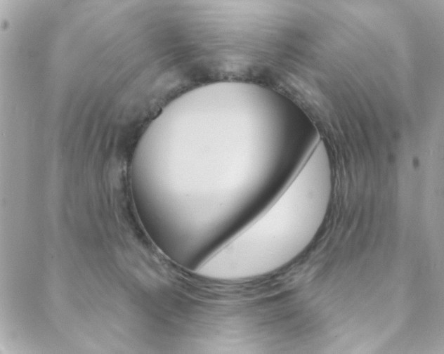X0000089910225200706290737
