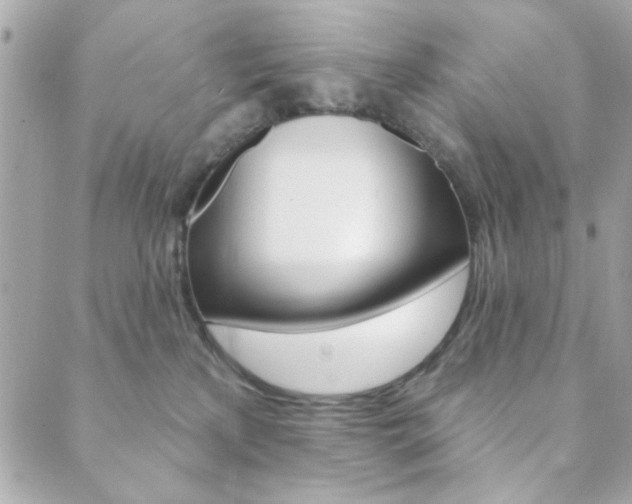 X0000089910233200706290737