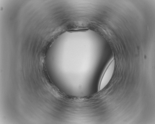 X0000089910235200706290737