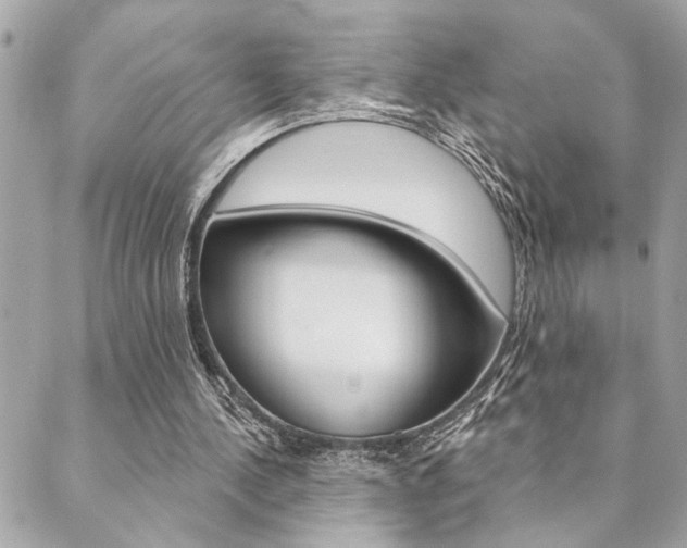 X0000089910244200706290736