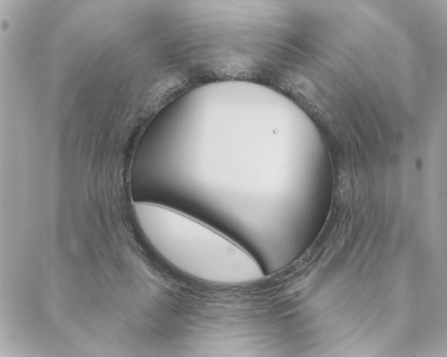 X0000089910259200706290736