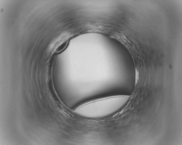 X0000089910291200706290736