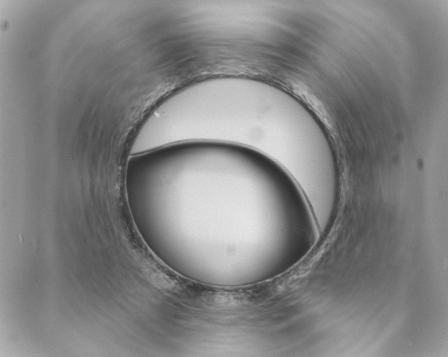 X0000089910305200706290736