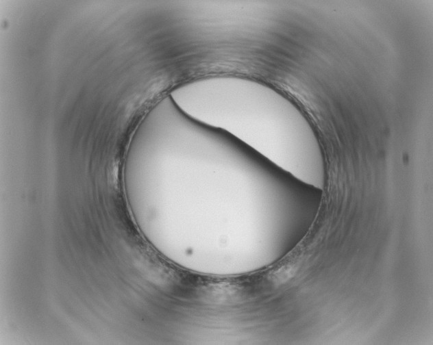 X0000089910310200706290736