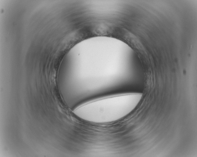 X0000089910332200706290735