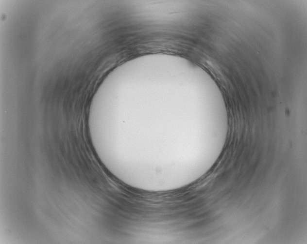 X0000089910333200706290735