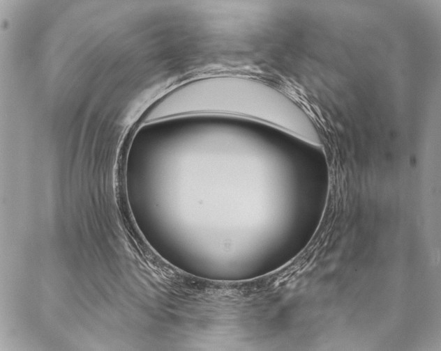 X0000089910340200706290735