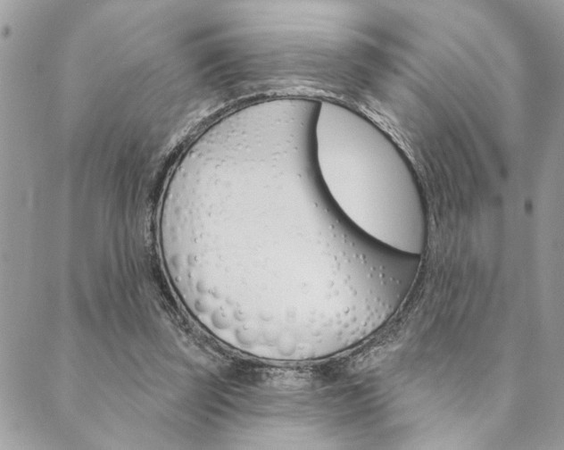 X0000089910347200706290735