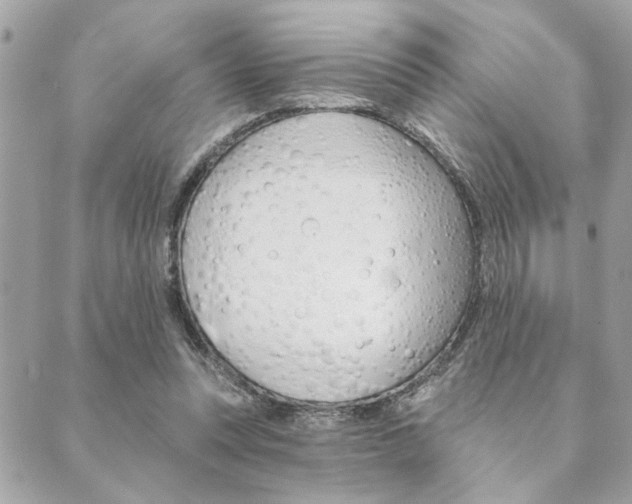 X0000089910351200706290735