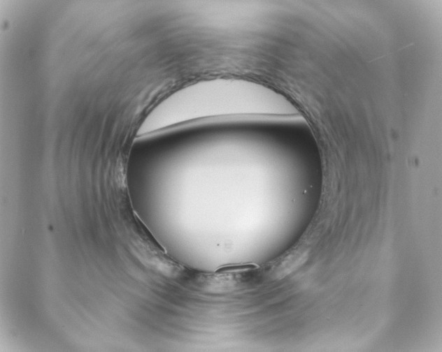 X0000089910384200706290735
