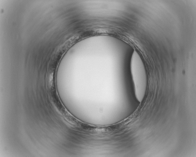 X0000089910406200706290734
