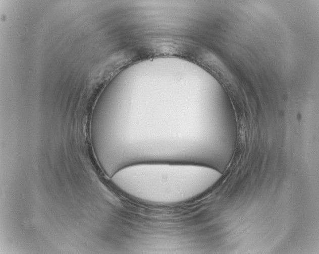 X0000089910410200706290734