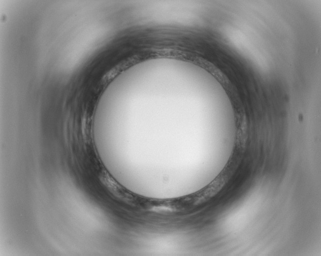 X0000089910430200706290734