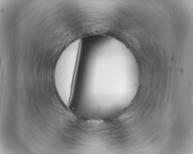 X0000089910480200706290734