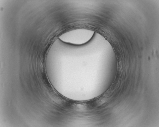 X0000089910506200706290733