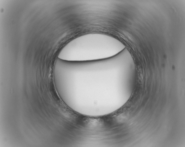 X0000089910507200706290733