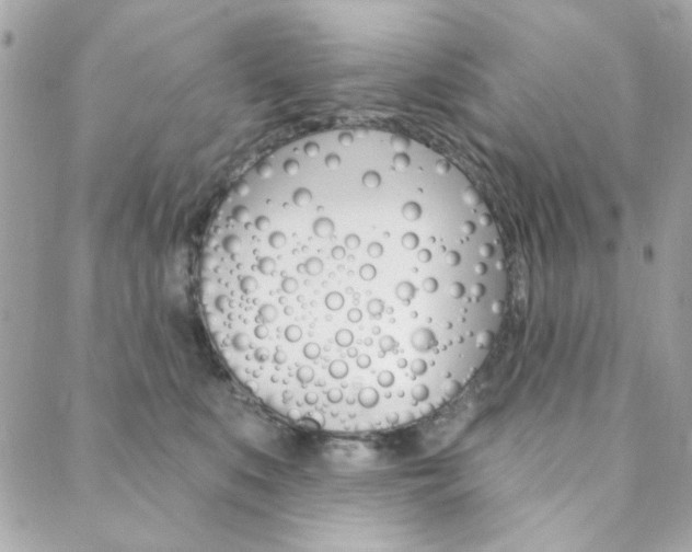 X0000089910519200706290732