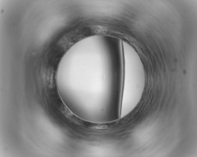 X0000089910525200706290732