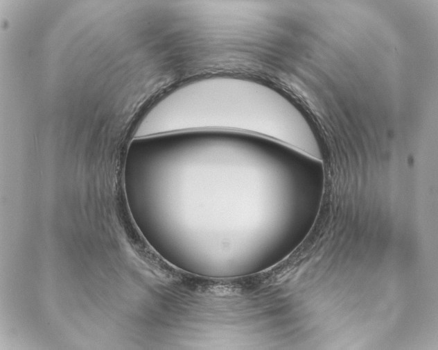 X0000089910546200706290732