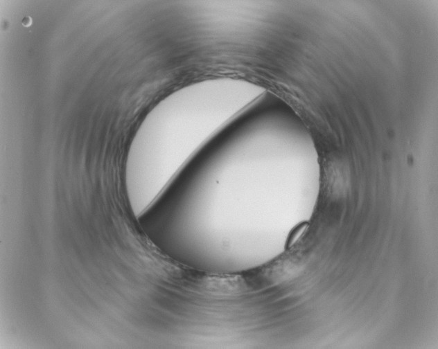 X0000089910571200706290732