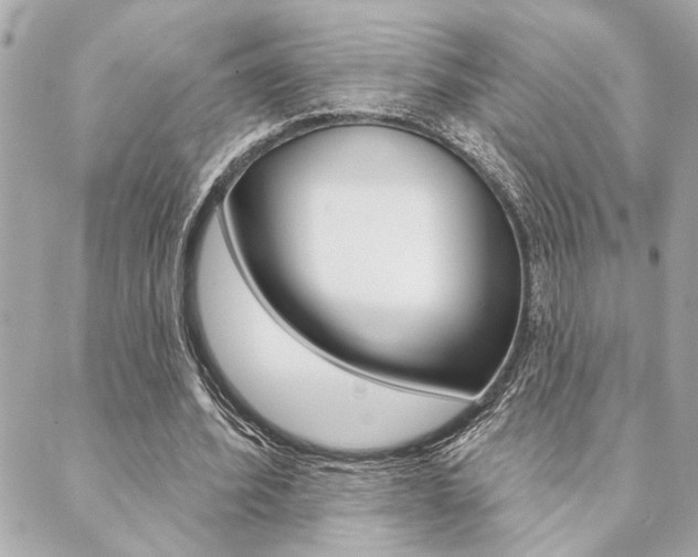X0000089910580200706290731