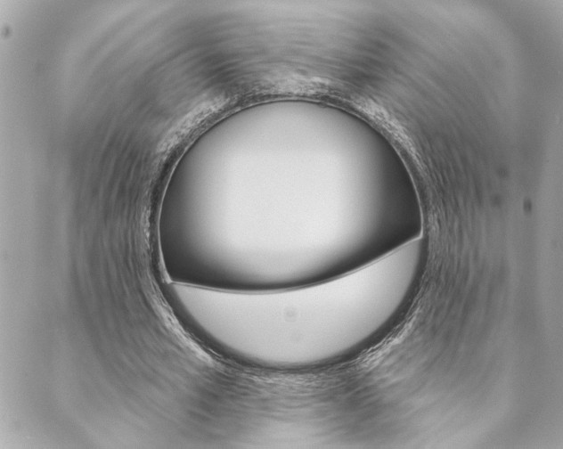 X0000089910581200706290731