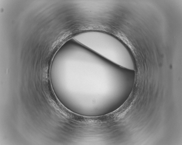 X0000089910585200706290731