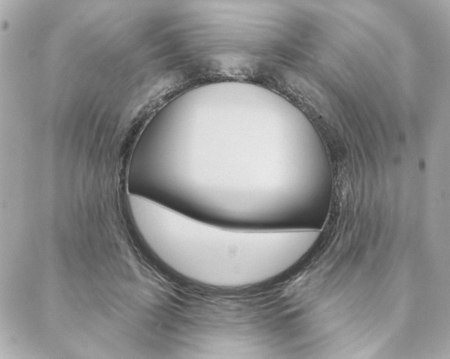 X0000089910595200706290731