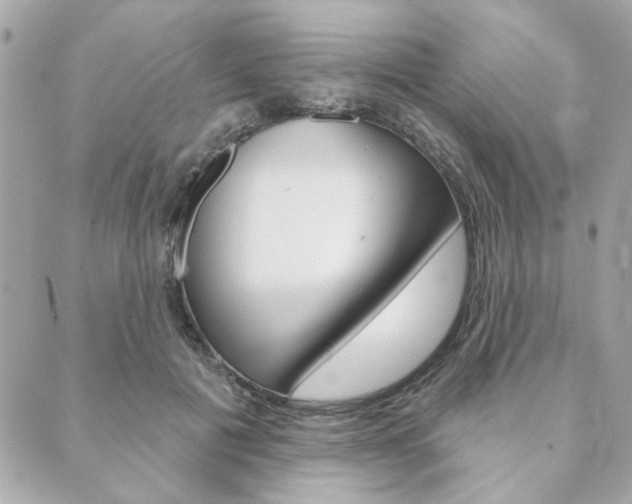 X0000089910601200706290731