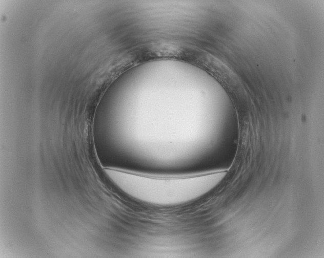 X0000089910604200706290731