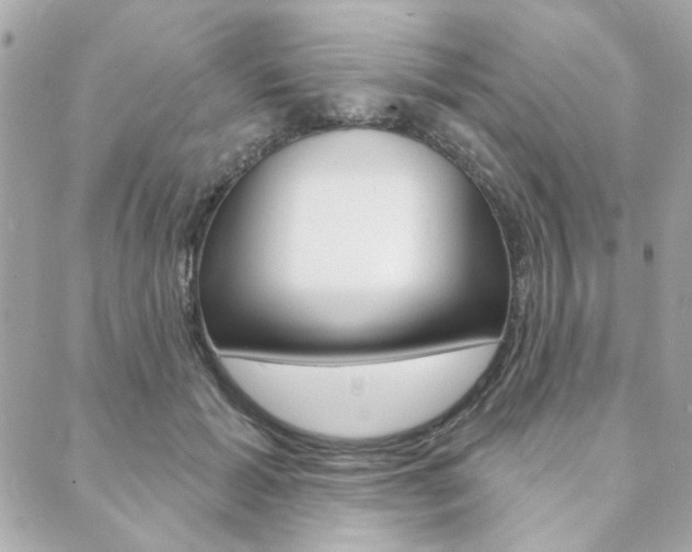 X0000089910605200706290731